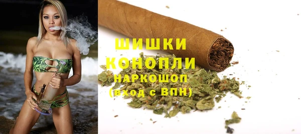 ГАЛЛЮЦИНОГЕННЫЕ ГРИБЫ Армянск
