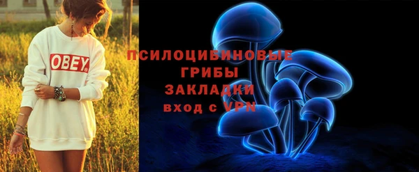 ГАЛЛЮЦИНОГЕННЫЕ ГРИБЫ Армянск