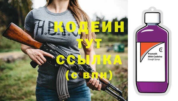 дмт Арсеньев